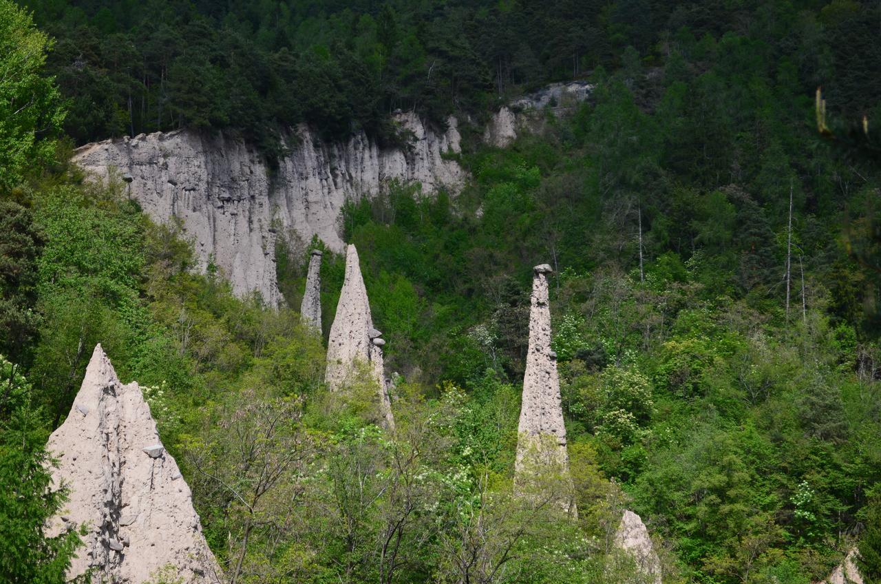 Agritur All'Olivo Faver Exteriér fotografie
